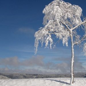 voix_off_grand_froid_frontieres_de_la_science